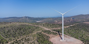 250 MW Renewable Energy Capacity Surpassed